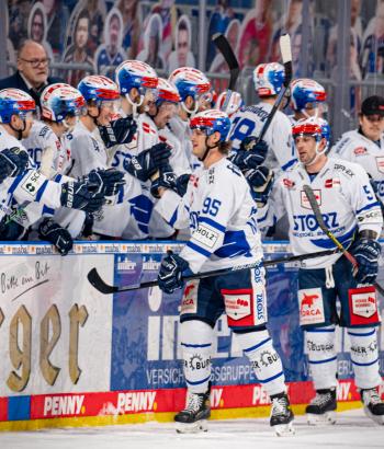 Adler Mannheim Teamcheck SWW2