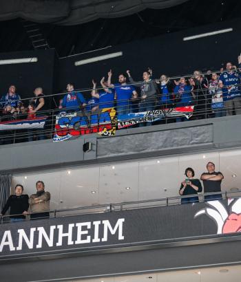 Adler Mannheim Update Spiel sechs