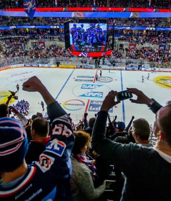 Adler Mannheim VF Spiel vier