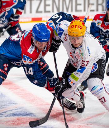 Adler Mannheim Verschiebung MANBHV