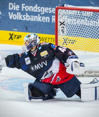 Adler Mannheim Vorbericht Berlin app2
