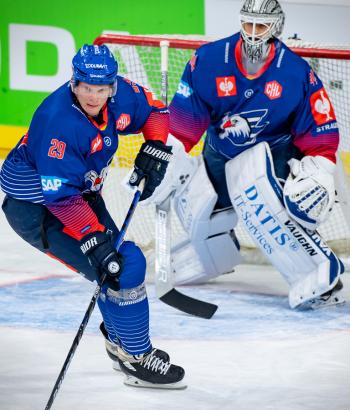Adler Mannheim Vorbericht CHL