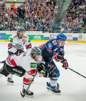 Adler Mannheim Vorbericht Duesseldorf app3