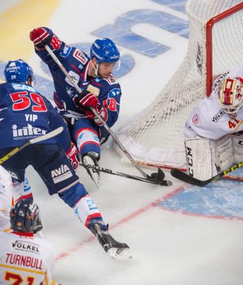 Adler Mannheim Vorbericht Duesseldorf app