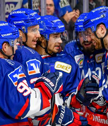 Adler Mannheim Vorbericht ERC
