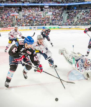 Adler Mannheim Vorbericht Eisbaeren Berlin app2