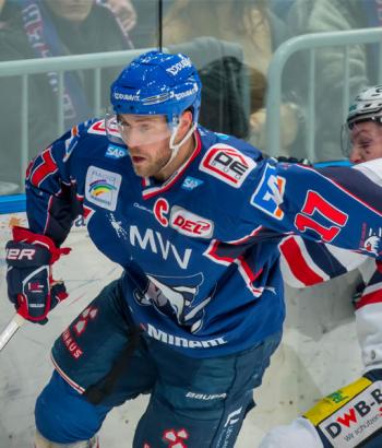 Adler Mannheim Vorbericht Eisbaeren Berlin app3