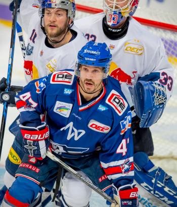 Adler Mannheim Vorbericht HF5