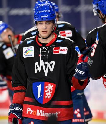 Adler Mannheim Vorbericht IEC DEG
