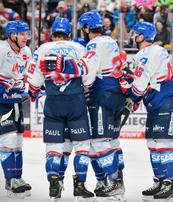 Adler Mannheim Vorbericht ING2