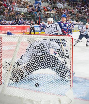 Adler Mannheim Vorbericht Ingolstadt app