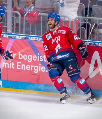 Adler Mannheim Vorbericht Ingolstadt