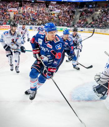 Adler Mannheim Vorbericht Iserlohn app4