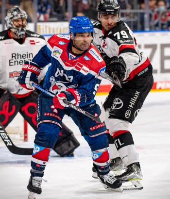 Adler Mannheim Vorbericht KEC