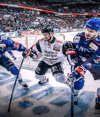 Adler Mannheim Vorbericht Koeln app2