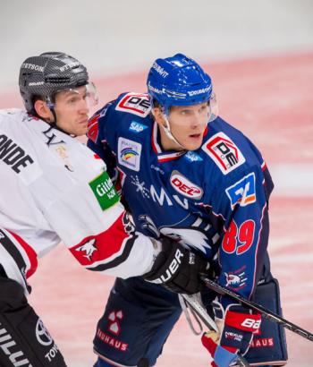 Adler Mannheim Vorbericht Koeln app4