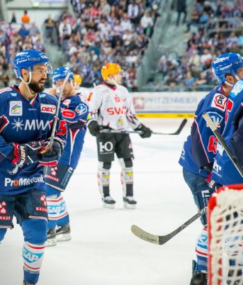 Adler Mannheim Vorbericht Krefeld app