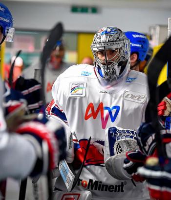 Adler Mannheim Vorbericht Lugano Zug