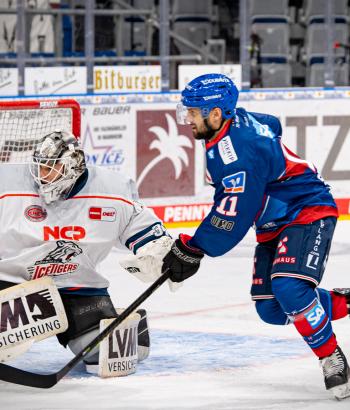 Adler Mannheim Vorbericht NIT2