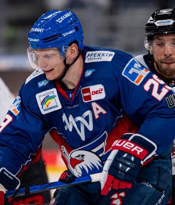 Adler Mannheim Vorbericht NIT3