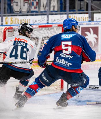 Adler Mannheim Vorbericht NIT4