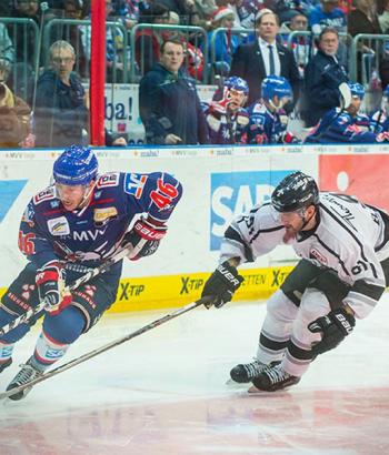 Adler Mannheim Vorbericht Nuernberg app