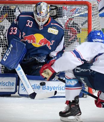Adler Mannheim Vorbericht RBM NIT SWW