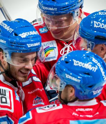 Adler Mannheim Vorbericht Roosters