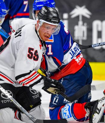 Adler Mannheim Vorbericht STR