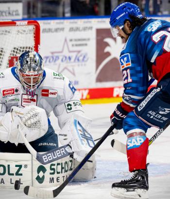 Adler Mannheim Vorbericht SWW ERCI