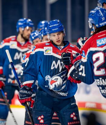 Adler Mannheim Vorbericht SWW2