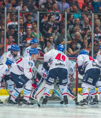 Adler Mannheim Vorbericht Schwenninger Wild Wings app