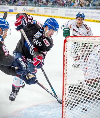 Adler Mannheim Vorbericht Straubing Tigers app