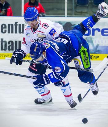 Adler Mannheim Vorbericht Straubing app3