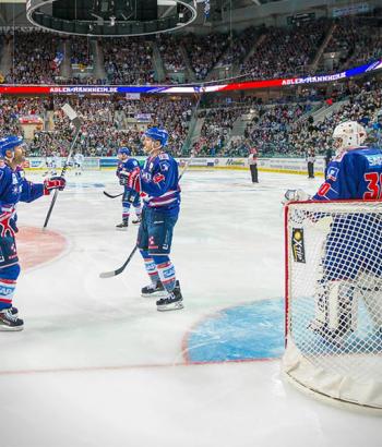 Adler Mannheim Vorbericht Straubing app4