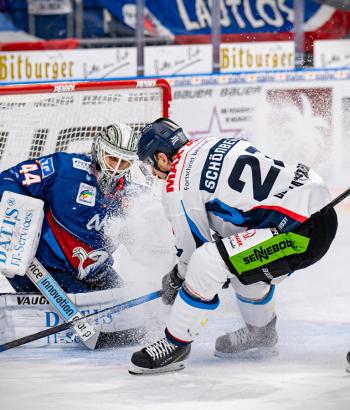 Adler Mannheim Vorbericht VF2