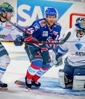 Adler Mannheim Vorbericht VF5