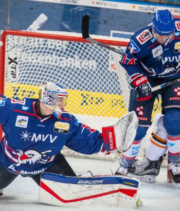 Adler Mannheim Vorbericht Wolfsburg app