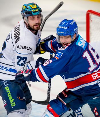 Adler Mannheim Vorschau BER