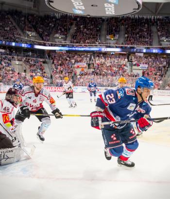 Adler Mannheim Vorschau BHV