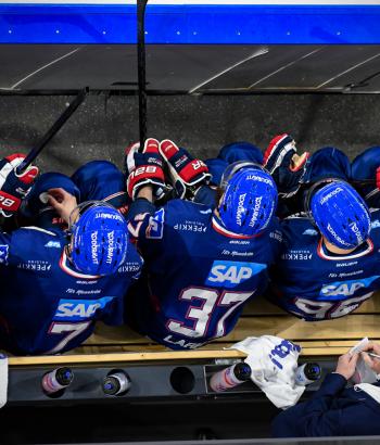 Adler Mannheim Vorschau F1