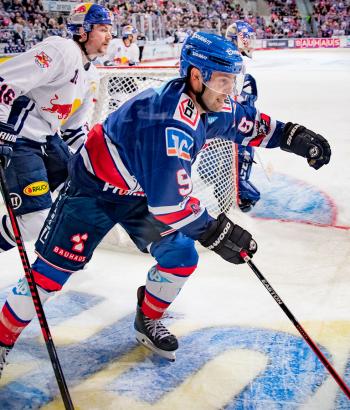 Adler Mannheim Vorschau HF1