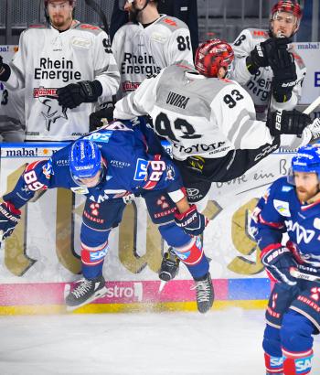 Adler Mannheim Vorschau HF2