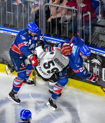 Adler Mannheim Vorschau HF3