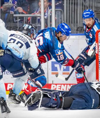 Adler Mannheim Vorschau HF
