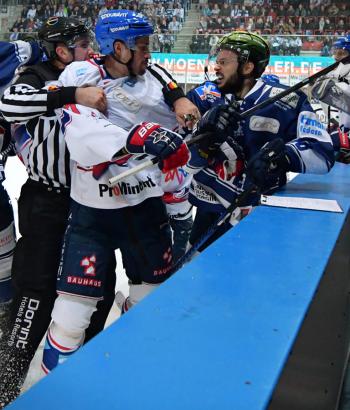 Adler Mannheim Vorschau IEC