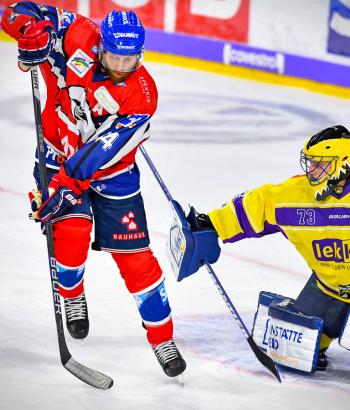 Adler Mannheim Vorschau KEV4