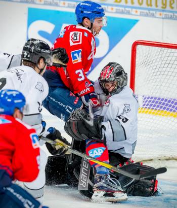 Adler Mannheim Vorschau NIT2
