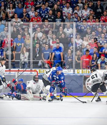 Adler Mannheim Vorschau NIT3