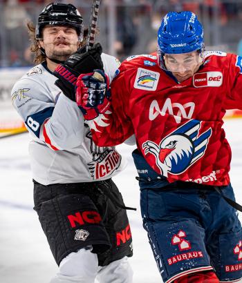 Adler Mannheim Vorschau NIT4